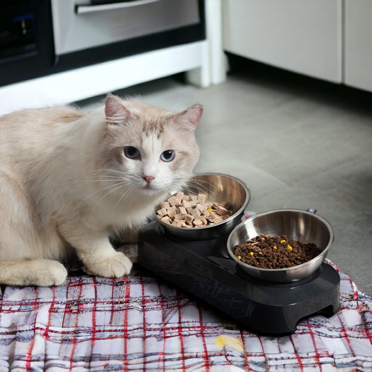 Stainless Steel raised Cat Bowls