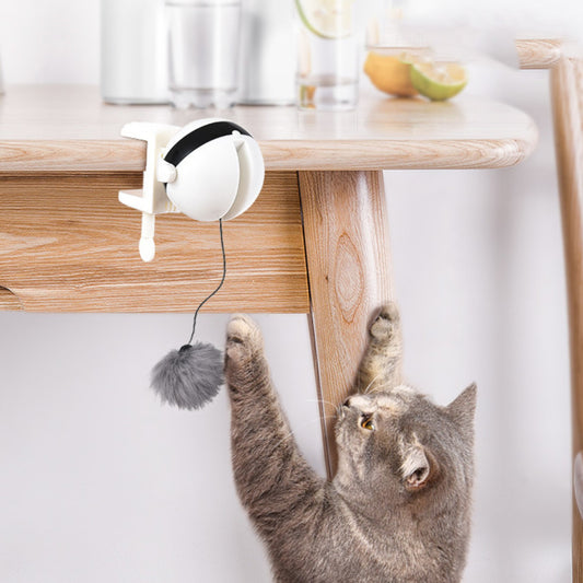 Interactive Battery Operated Cat Teaser Toy - Mountable for Endless Fun!