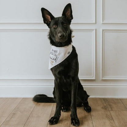 Humans Are Getting Married Dog Bandana, Mom and Dad Are Getting Married, Announcement Pet Bandana, Wedding Bandana, Engagement Dog Bandana (XS, My Humans Are Getting Married!)