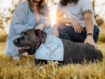 Humans Are Getting Married Dog Bandana, Mom and Dad Are Getting Married, Announcement Pet Bandana, Wedding Bandana, Engagement Dog Bandana (XS, My Humans Are Getting Married!)