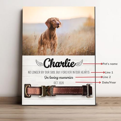 Personalized Dog Collar Memorial Frames, Pet Memorial Frame, Dog Lover Gift