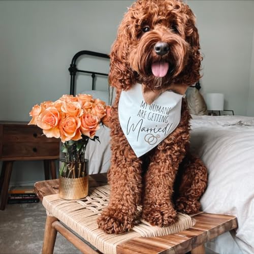 Humans Are Getting Married Dog Bandana, Mom and Dad Are Getting Married, Announcement Pet Bandana, Wedding Bandana, Engagement Dog Bandana (XS, My Humans Are Getting Married!)