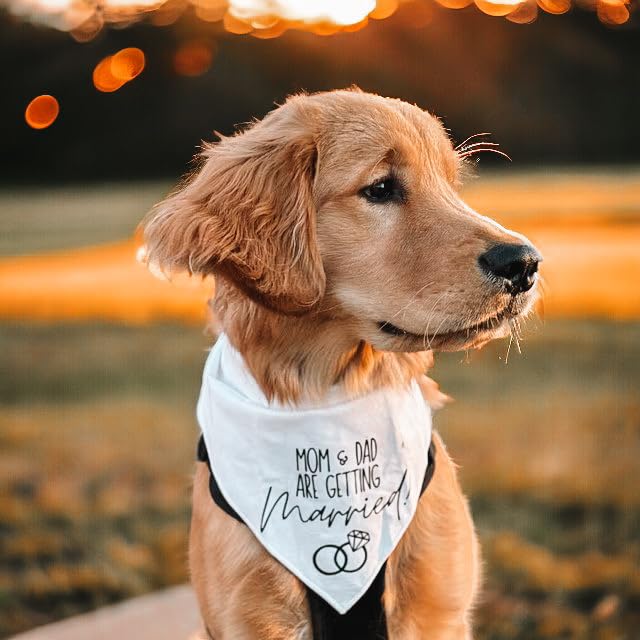 Humans Are Getting Married Dog Bandana, Mom and Dad Are Getting Married, Announcement Pet Bandana, Wedding Bandana, Engagement Dog Bandana (XS, My Humans Are Getting Married!)