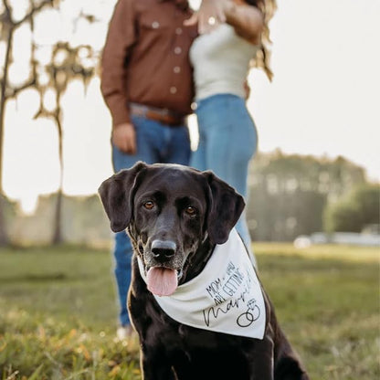 Humans Are Getting Married Dog Bandana, Mom and Dad Are Getting Married, Announcement Pet Bandana, Wedding Bandana, Engagement Dog Bandana (XS, My Humans Are Getting Married!)