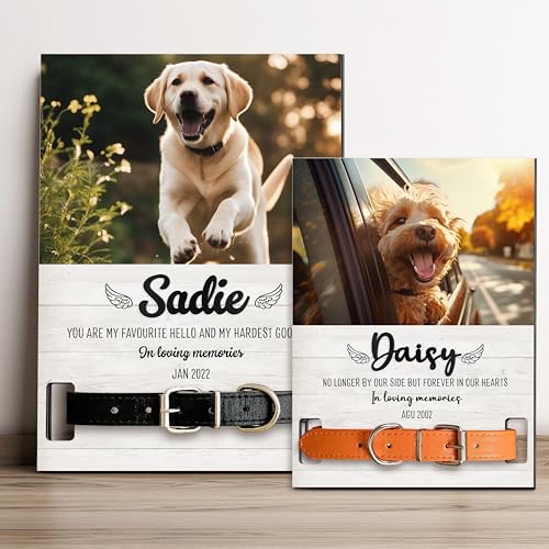 Personalized Dog Collar Memorial Frames, Pet Memorial Frame, Dog Lover Gift