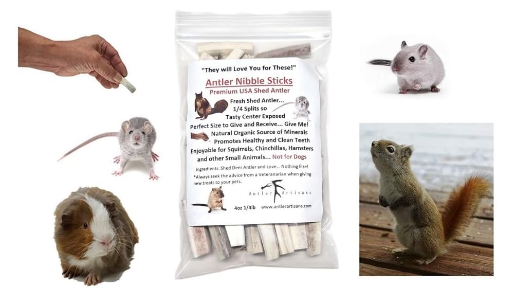 Antler Nibble Sticks by Antler Artisans, Squirrels and Small Animal Chews Treats, Teeth Health, Deer and Elk Antler Chews for Chipmunks, Hedgehogs, Guinea pigs, Rats, All-Natural Nutrition