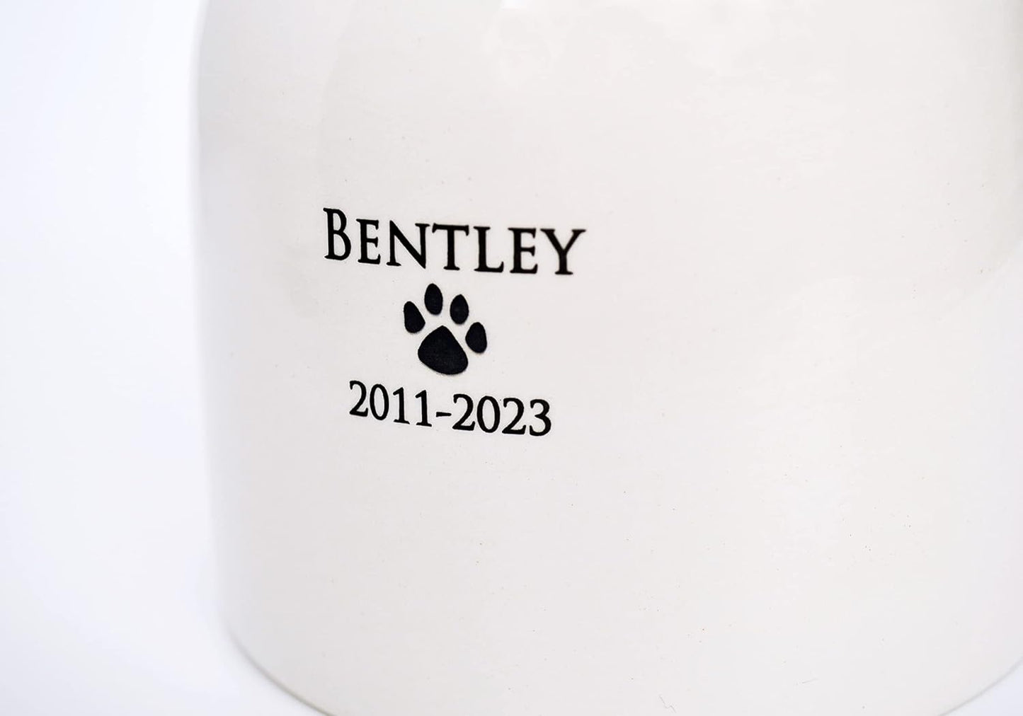 Personalized Dog Urn, Pet Urn, Cat Urn, Pet Memorial, Dog Urn for Ashes, Custom Dog Urn, Dog Memorial, Medium Size, Custom Urn for Any Pet