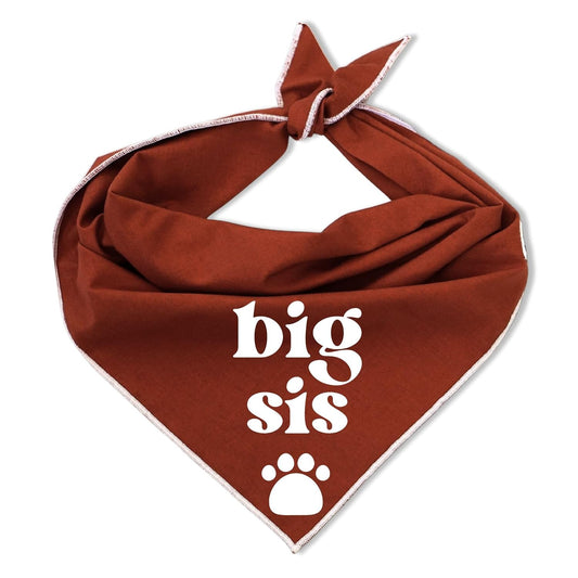 Big Sis Big Bro Dog Bandanas for Pregnancy Announcement Baby Shower Photoshoot Pet Accessories (XS, Big Sis, Rust)