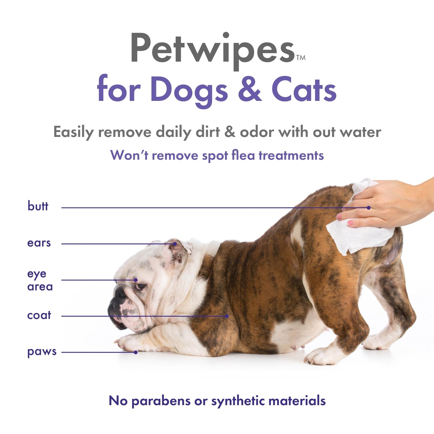 Petkin Plant Based Pet Wipes, 200 Wipes- 6 Count, Unscented