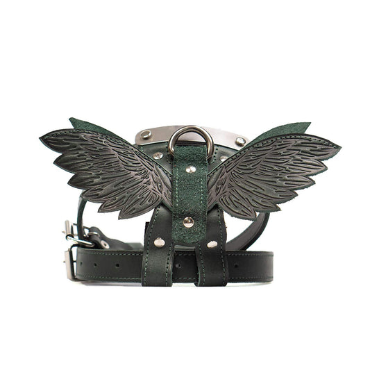 Pohvalin Leather dog harness with tag, dog collar with wings