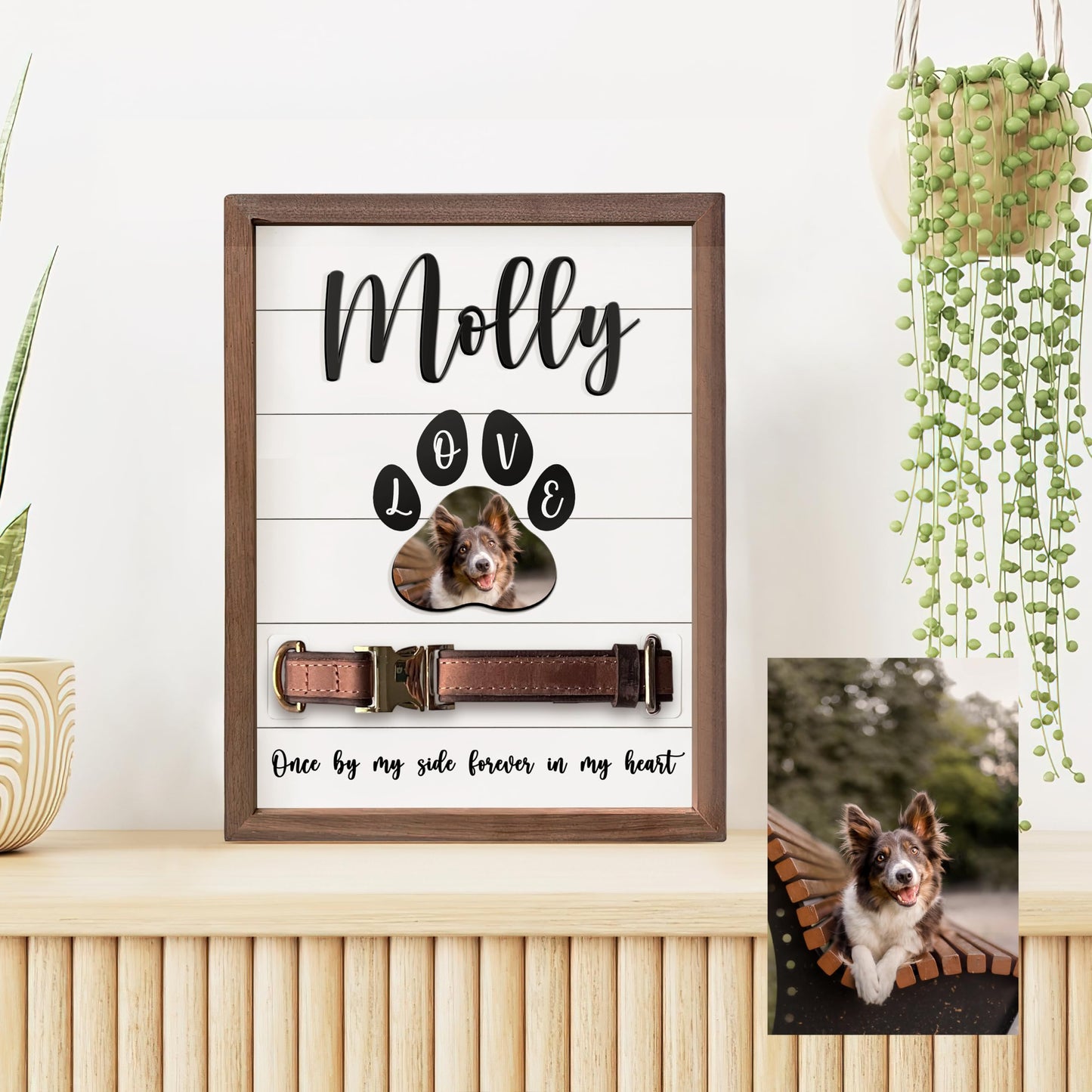 Personalized Dog Collar Memorial Frames, Pet Memorial Frame, Dog Lover Gift