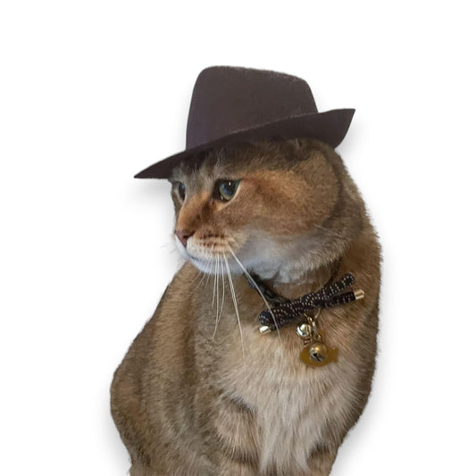 Large Indiana Jones Fedora for your Cat, Indiana Jones hat for Dog or Pet