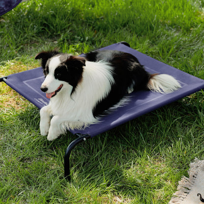 Bedsure Elevated Raised Cooling Cots Bed for Large Dogs, Portable Indoor & Outdoor Pet Hammock with Skid-Resistant Feet, Frame with Breathable Mesh, Grey, 49 inches