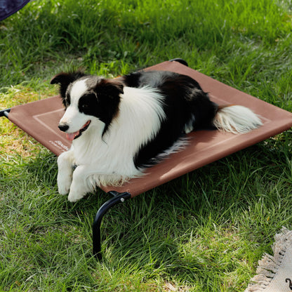 Bedsure Elevated Raised Cooling Cots Bed for Large Dogs, Portable Indoor & Outdoor Pet Hammock with Skid-Resistant Feet, Frame with Breathable Mesh, Grey, 49 inches