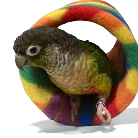 Comfy Pet Tunnel, Bird Hut, Parrot Tent, Custom Handmade Sleeping Bed for your bird or small pet